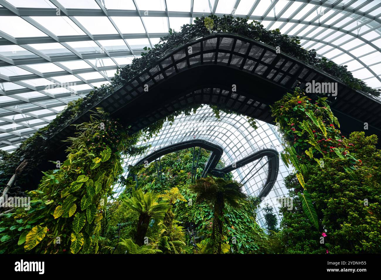 Singapur - 18. August 2024: Cloud Forest and Flower Dome Gewächshäuser in Gardens by the Bay Stockfoto
