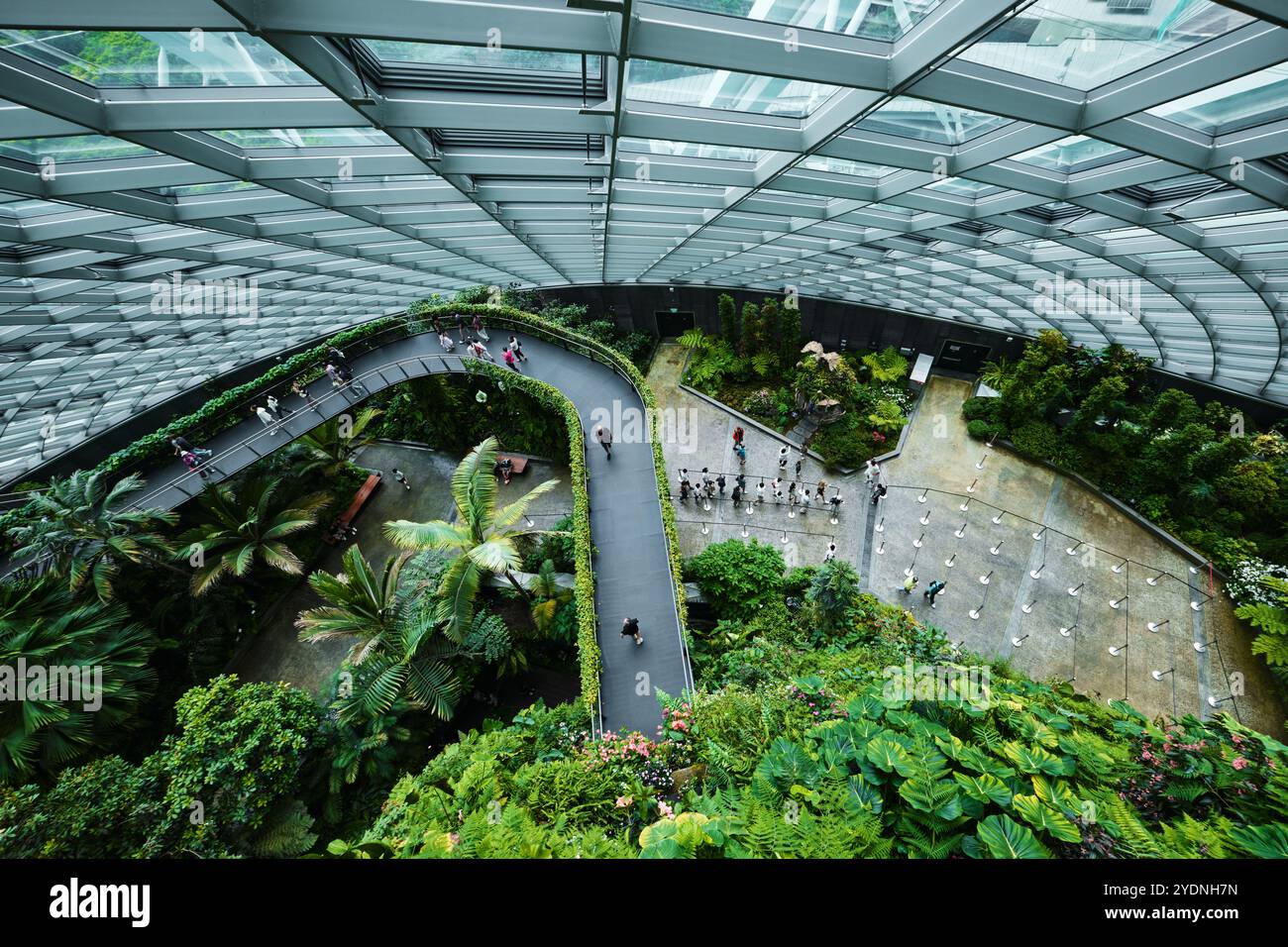 Singapur - 18. August 2024: Cloud Forest and Flower Dome Gewächshäuser in Gardens by the Bay Stockfoto