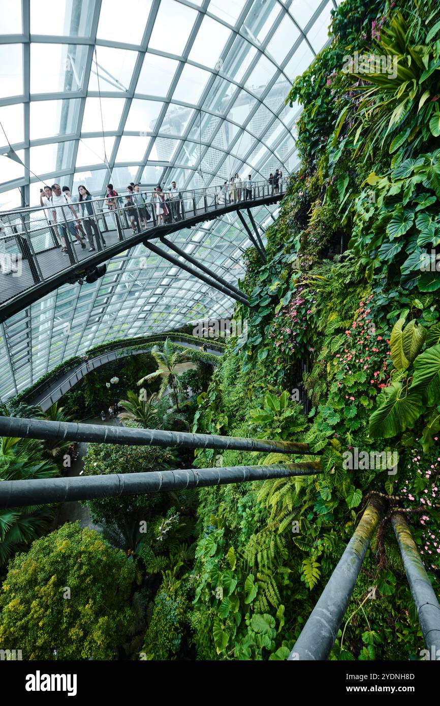 Singapur - 18. August 2024: Cloud Forest and Flower Dome Gewächshäuser in Gardens by the Bay Stockfoto