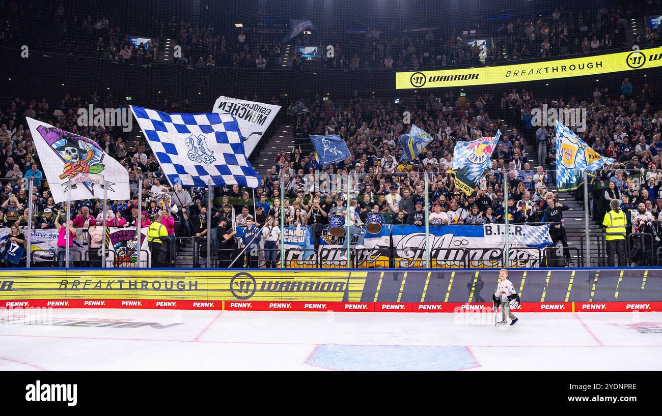 Die Fans in der Nordkurve konnten ob des Derbysiegs nach der Partie feiern. GER, EHC Red Bull München vs. ERC Ingolstadt Panther, Eishockey, DEL, 13. Spieltag, Saison 2024/2025, 27.10.2024. Foto: Eibner-Pressefoto/Franz Feiner Stockfoto