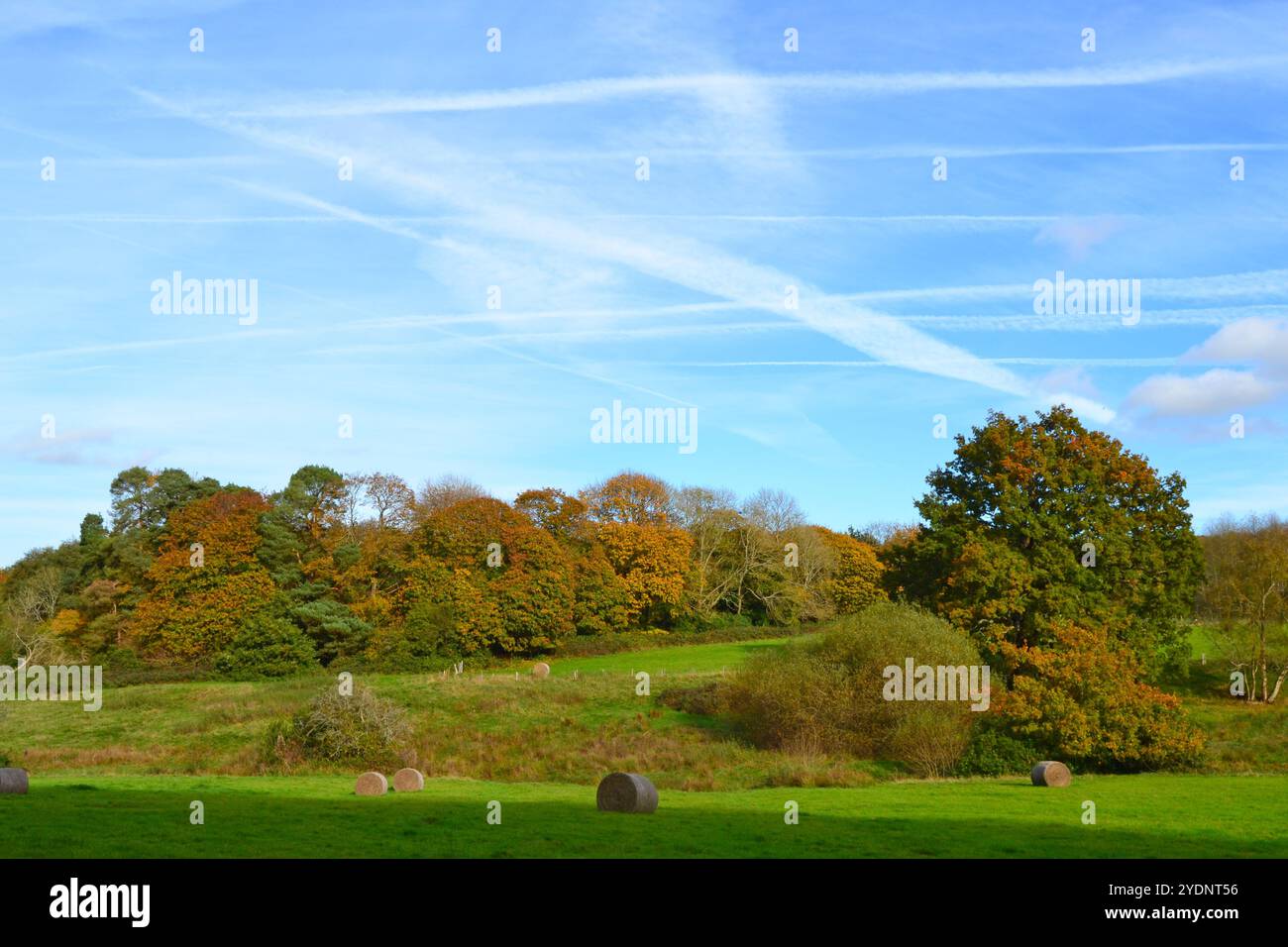 Landschaft rund um die Wasserwiesen des Infant River Darent, Hosey Common, Kent, im Oktober. Klarer Himmel mit Dampfpfaden, Kondensstreifen und wunderschönen Bäumen Stockfoto