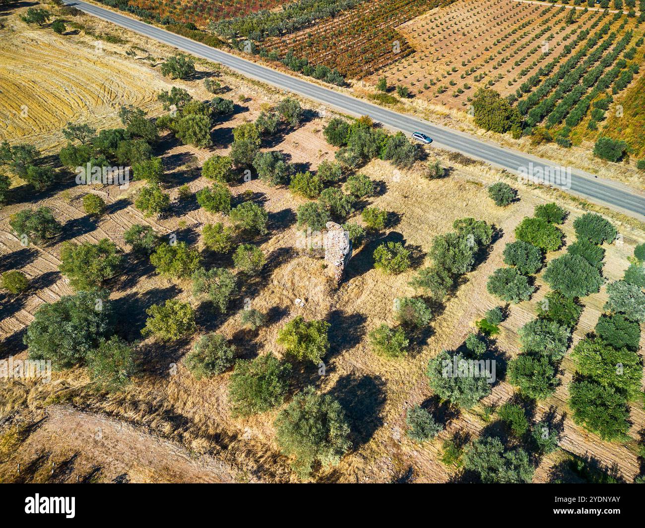 Aus der Vogelperspektive mit Drohne; Sardes (Sardes) antike Stadt mit Gymnasium und Synagogen Ruinen und Säulen in Manisa, Türkei. Stockfoto