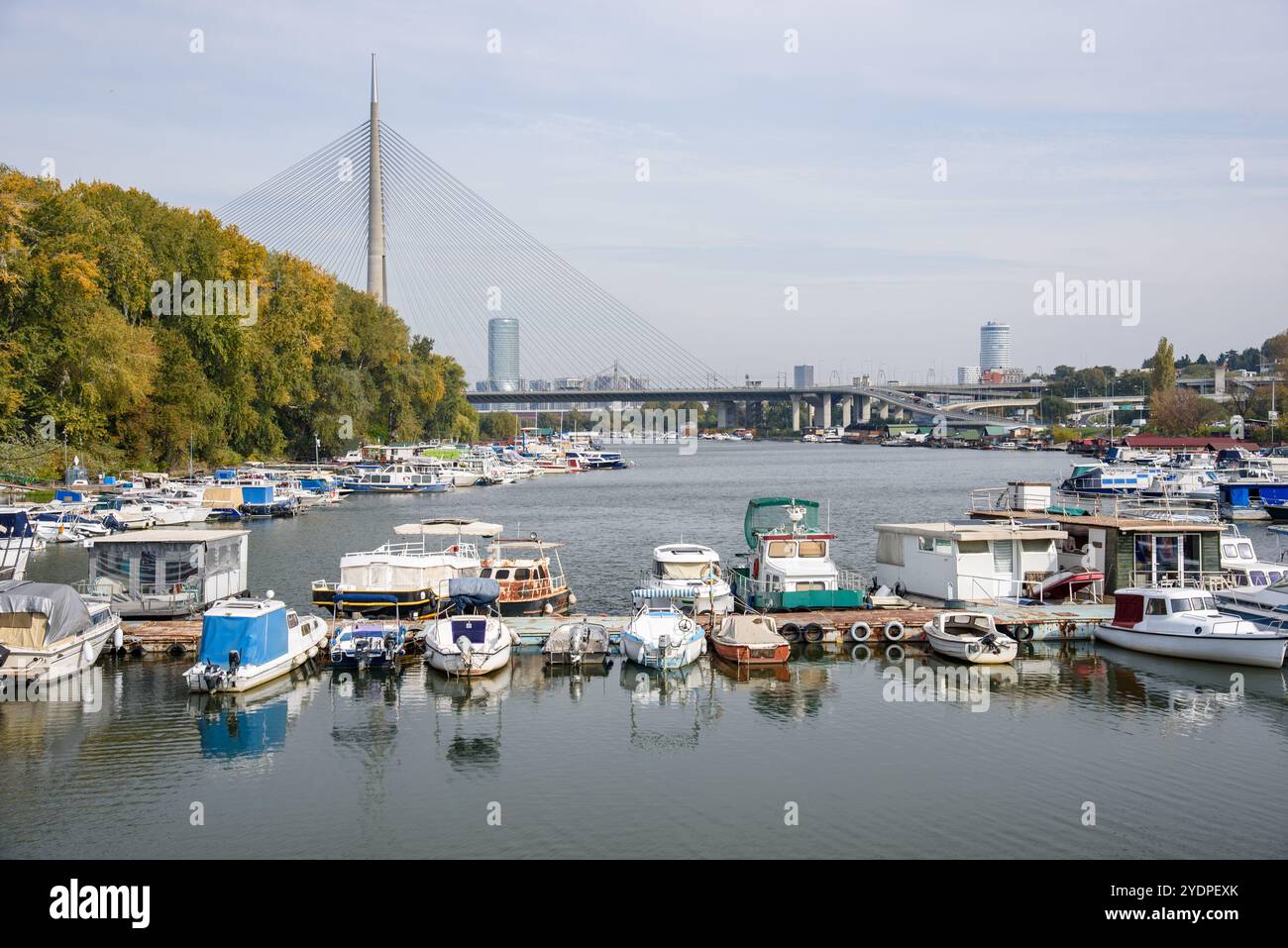 Bootsanleger in Ada Ciganlija mit Ada-Brücke, einer Seilbrücke über die Save am 24. Oktober 2024 in Belgrad, Serbien Stockfoto