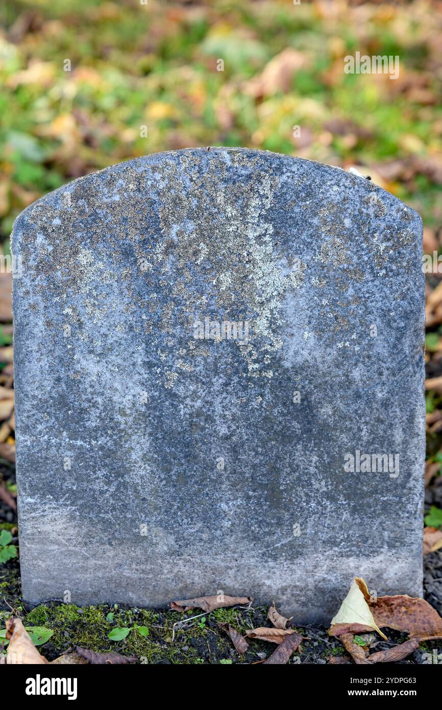 Eine Nahaufnahme eines sehr alten Grabsteins. Der Stein ist leer. Der Stein stammt aus dem 18. Oder 19. Jahrhundert. Gras und Braunblättrige sind ebenfalls sichtbar. Stockfoto