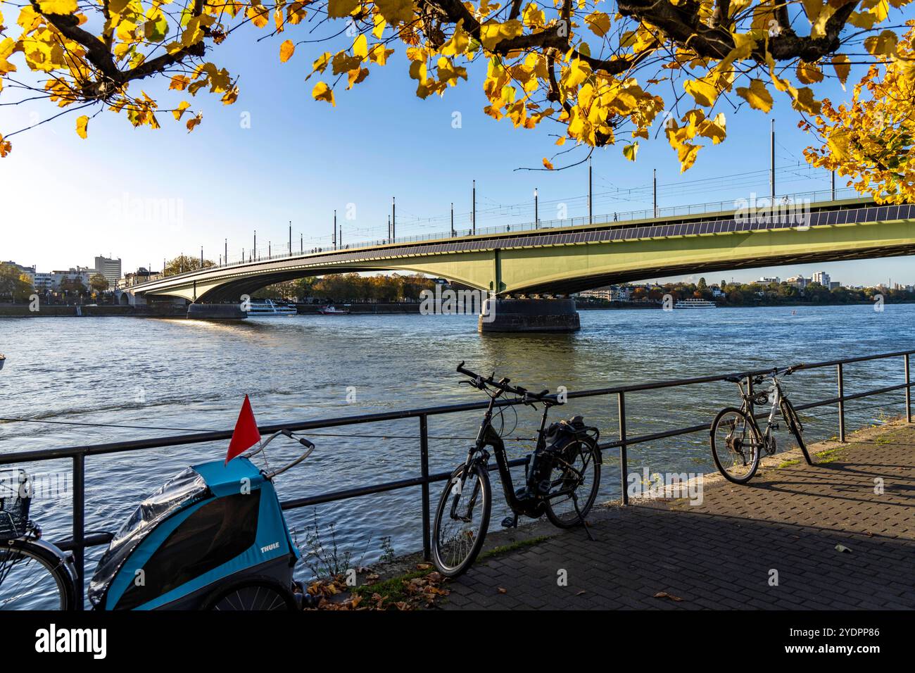 Die Kennedybrücke, mittlere der 3 Bonner Rheinbrücken, verbindet das Zentrum von Bonn und den Stadtteil Beuel, Bundesstraße B56, Stadtbahnlinien und Geh- und Radwege, Bonn NRW, Deutschland Kennedybrücke *** die Kennedybrücke, die Mitte von Bonns 3 Rheinbrücken, verbindet das Zentrum von Bonn und den Stadtteil Beuel, Bundesstraße B56, Stadtbahnlinien und Fußwege und Radwege, Bonn NRW, Deutschland Kennedy Brücke Stockfoto