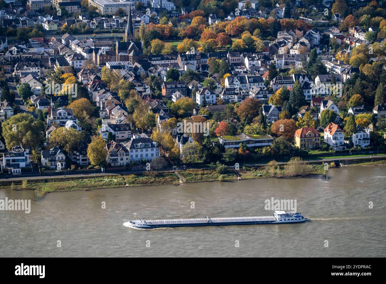 Blick auf den Rhein mit Frachtschiff und Mehlem, Ortsteil von Bonn-Bad Godesberg, NRW, Deutschland, Mehlem Bonn *** Blick auf den Rhein mit Frachtschiff und Mehlem, Stadtteil Bonn Bad Godesberg, NRW, Deutschland, Mehlem Bonn Stockfoto