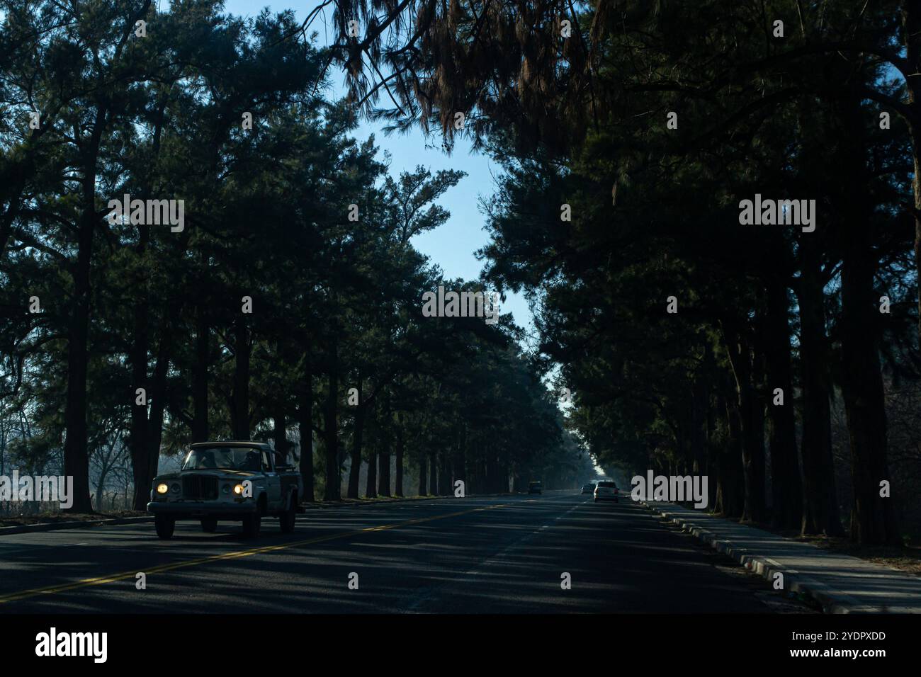 Abendstraße Stockfoto