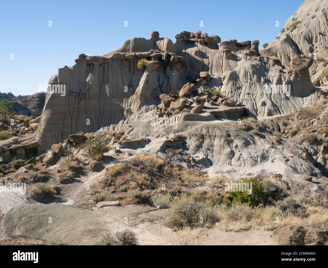 Hoodoo-Felsformationen, Felsbrocken und Erosion im Makoshika State Park in Glendive, Montana. Stockfoto