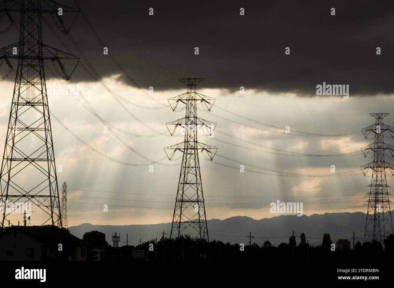 Wiederverwertbare leere Dosen Stockfoto