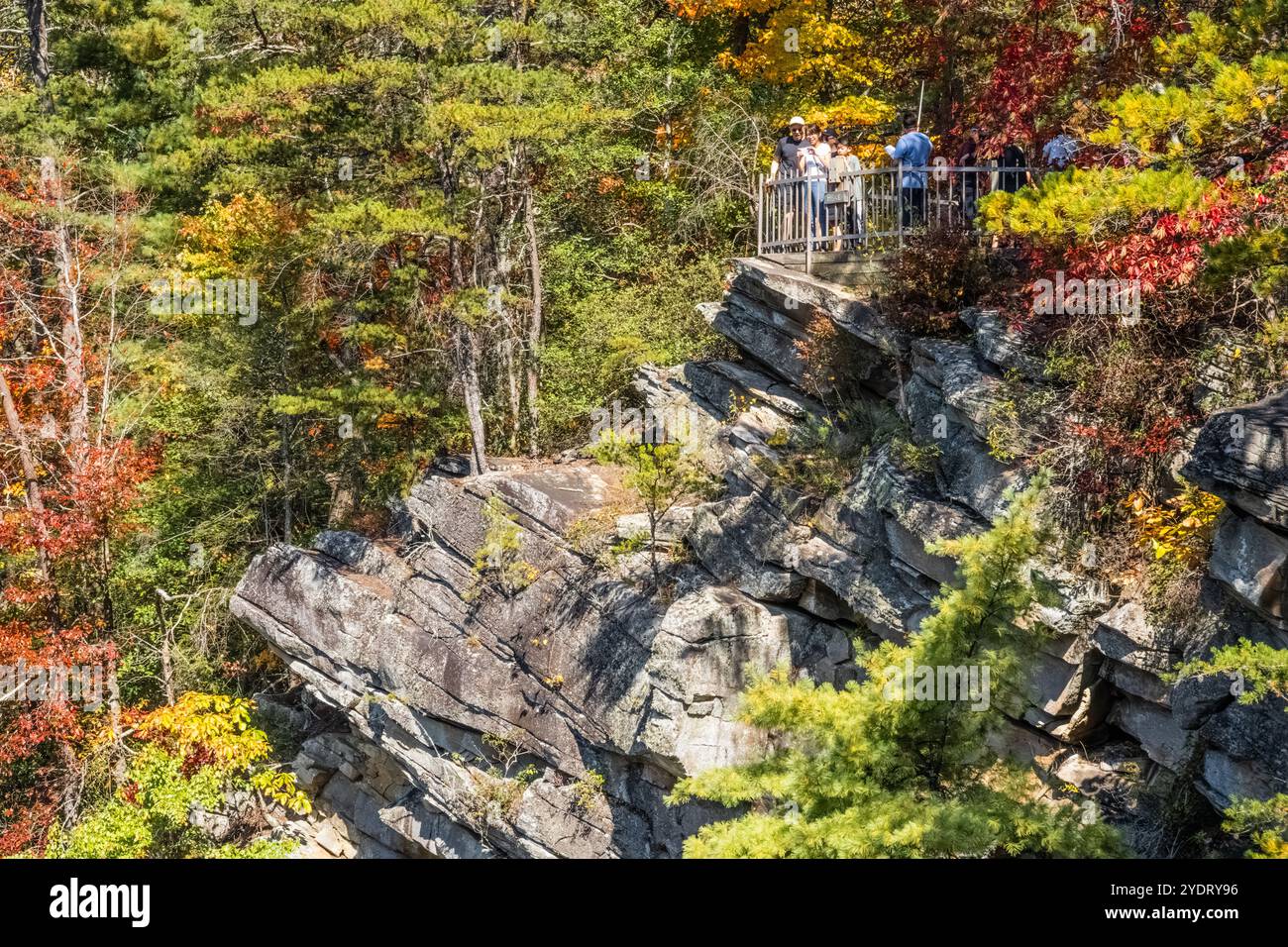 Panoramablick auf den Tallulah Gorge State Park in Tallulah Falls, Georgia. (USA) Stockfoto