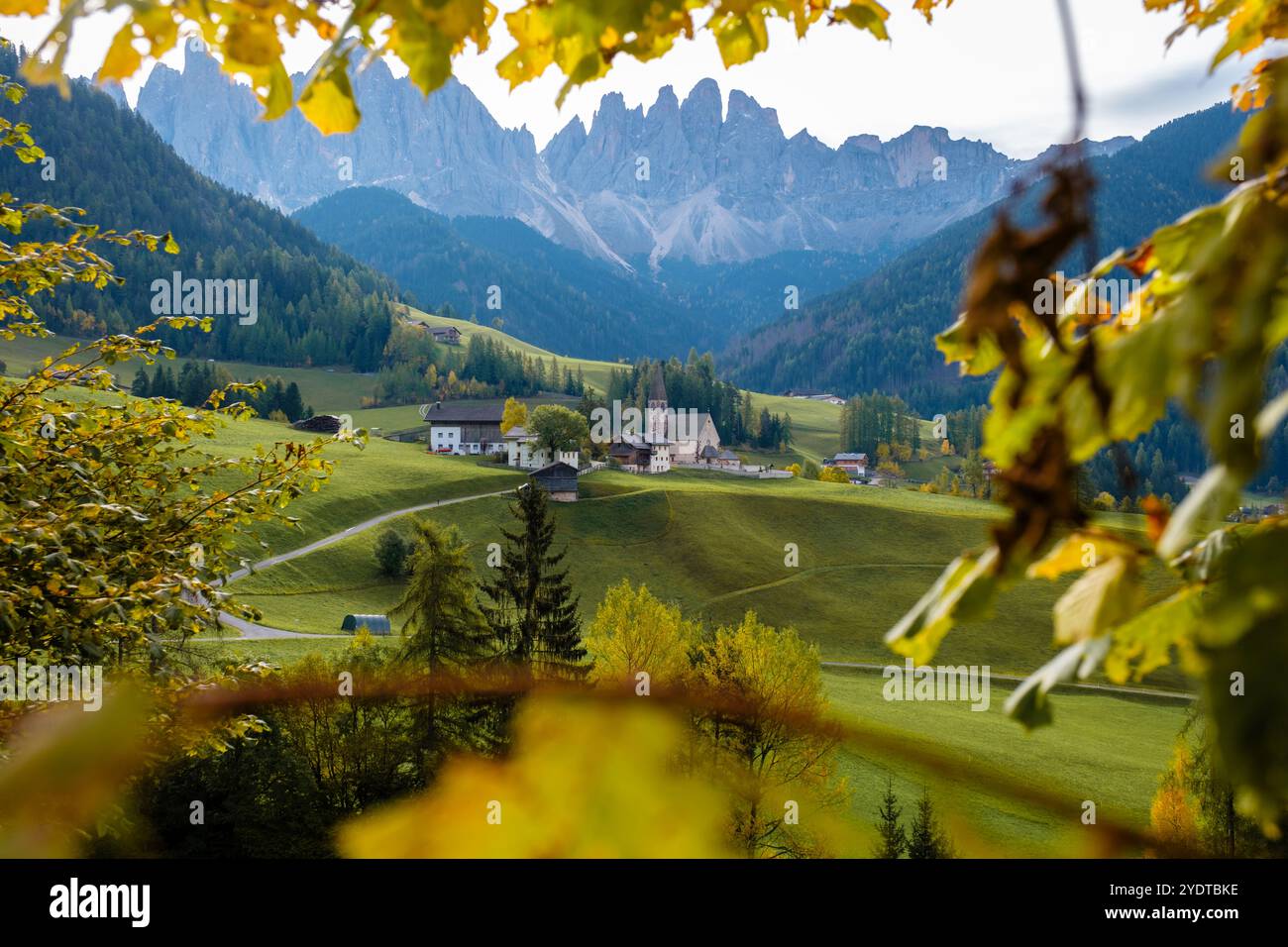 Goldene Blätter tanzen in der Brise und umrahmen ein malerisches Dorf in den Dolomiten. Majestätische Gipfel erheben sich hinter dem Santa Maddalena Val di Funes Italien Stockfoto