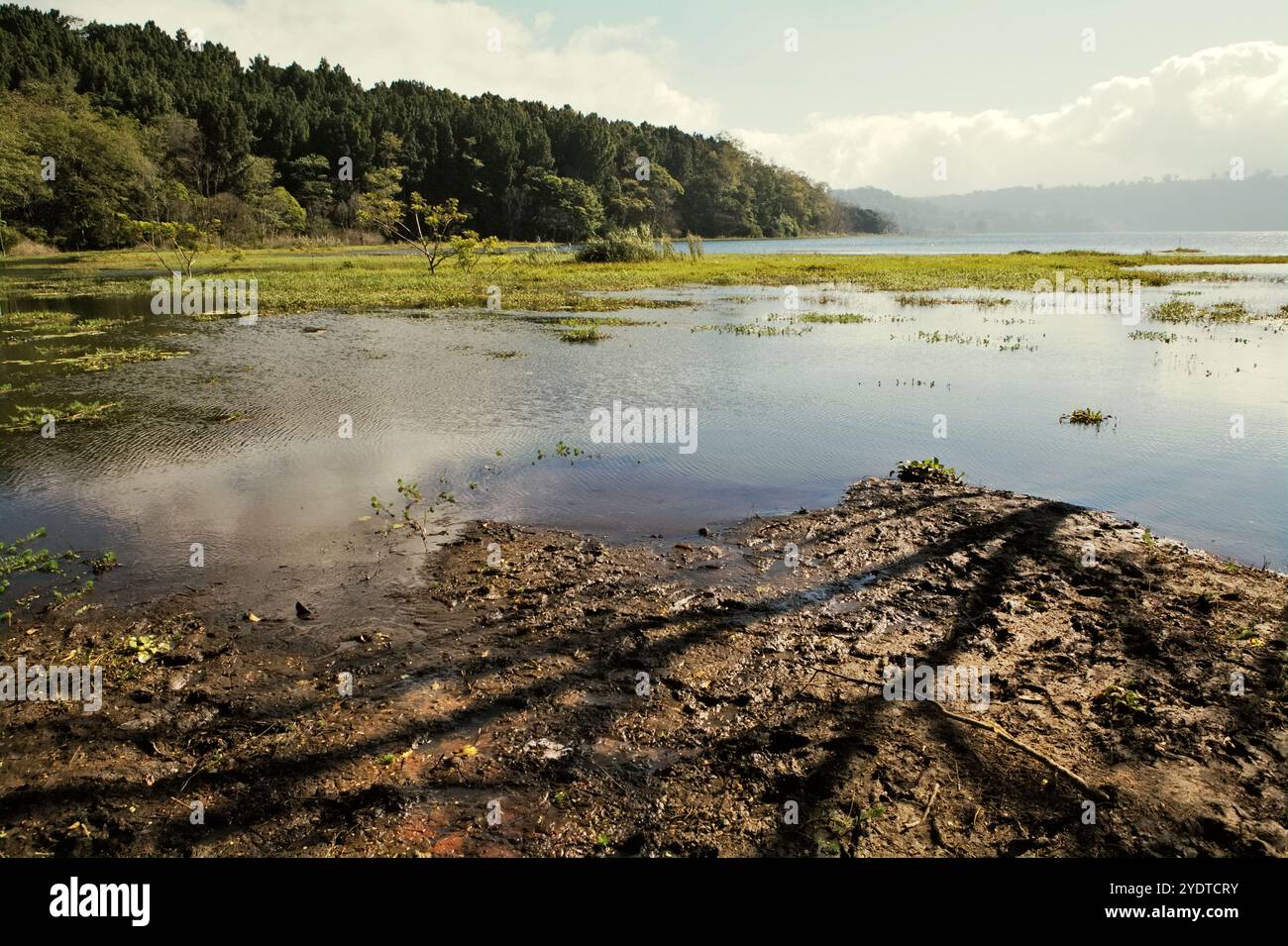 Buyan Lake in Buleleng, Bali, Indonesien. Stockfoto