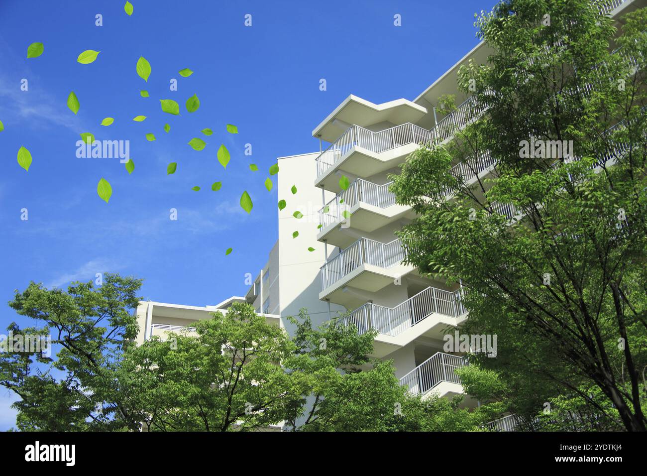 Flache Flächen und Blätter Stockfoto