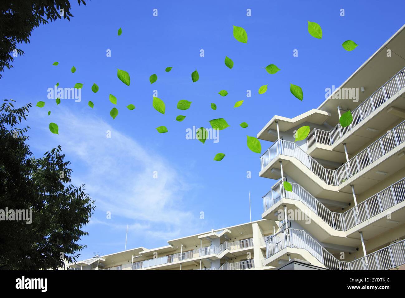 Flache Flächen und Blätter Stockfoto