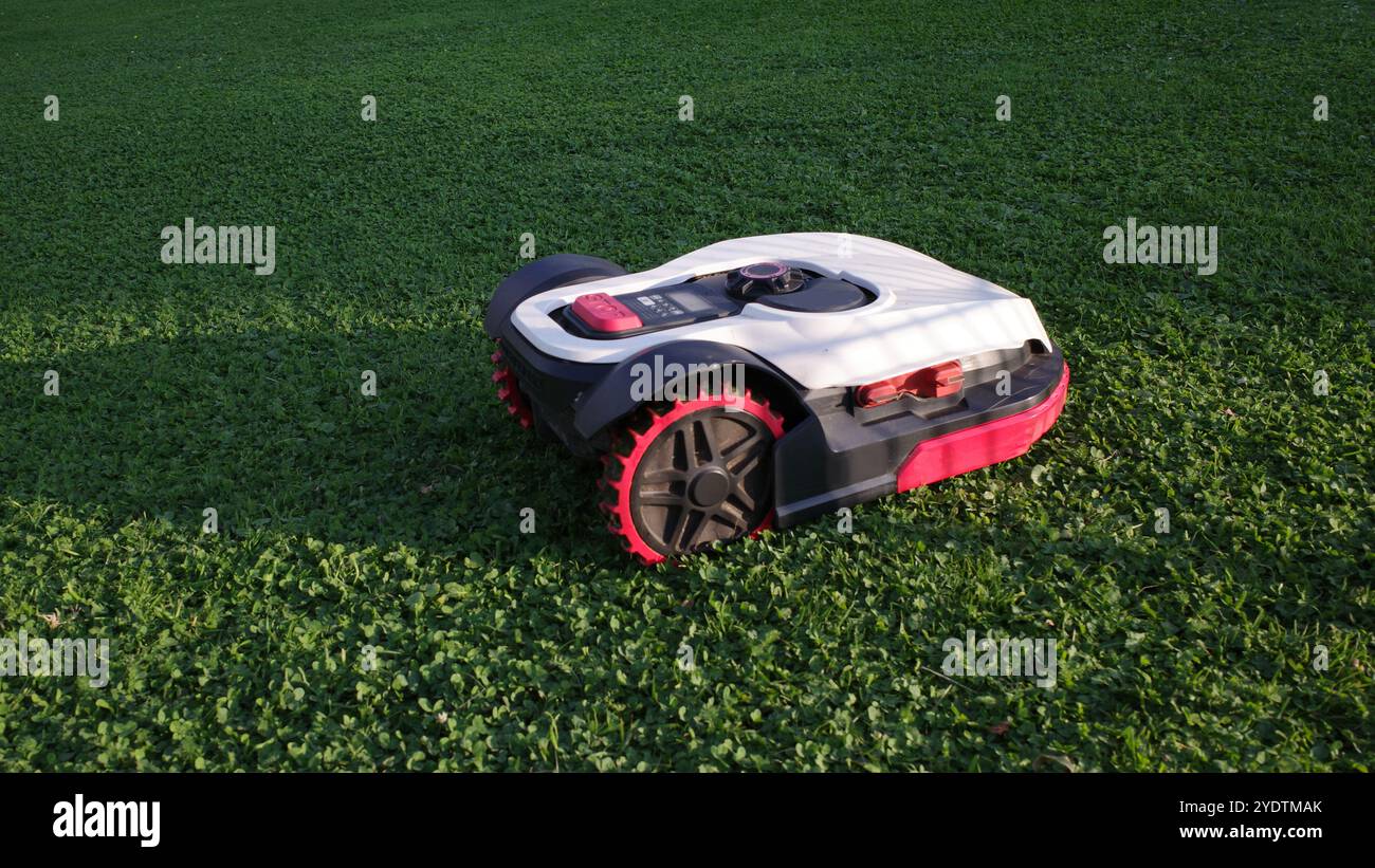 Ein Mähroboter mäht einen riesigen Rasen mit Unkraut Stockfoto
