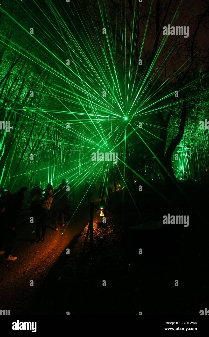 Grünes Licht in einem Bambusgarten mit vielen Menschen, die von den Lichtern fasziniert sind Stockfoto
