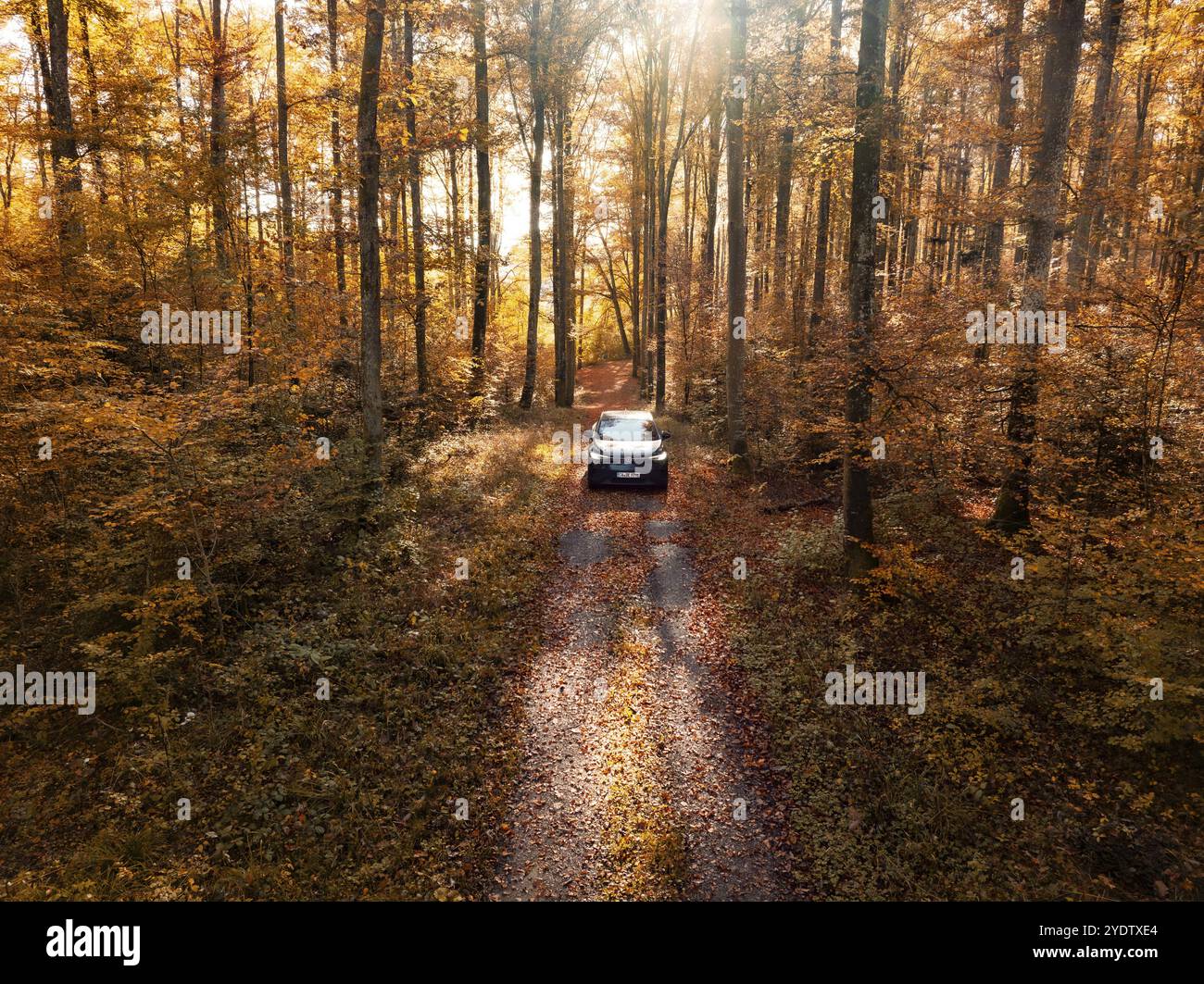 Auto auf der Straße in einem herbstlichen Wald mit hellem Sonnenlicht, Elektroauto, VW ID5, Gechingen, Schwarzwald, Deutschland, Europa Stockfoto