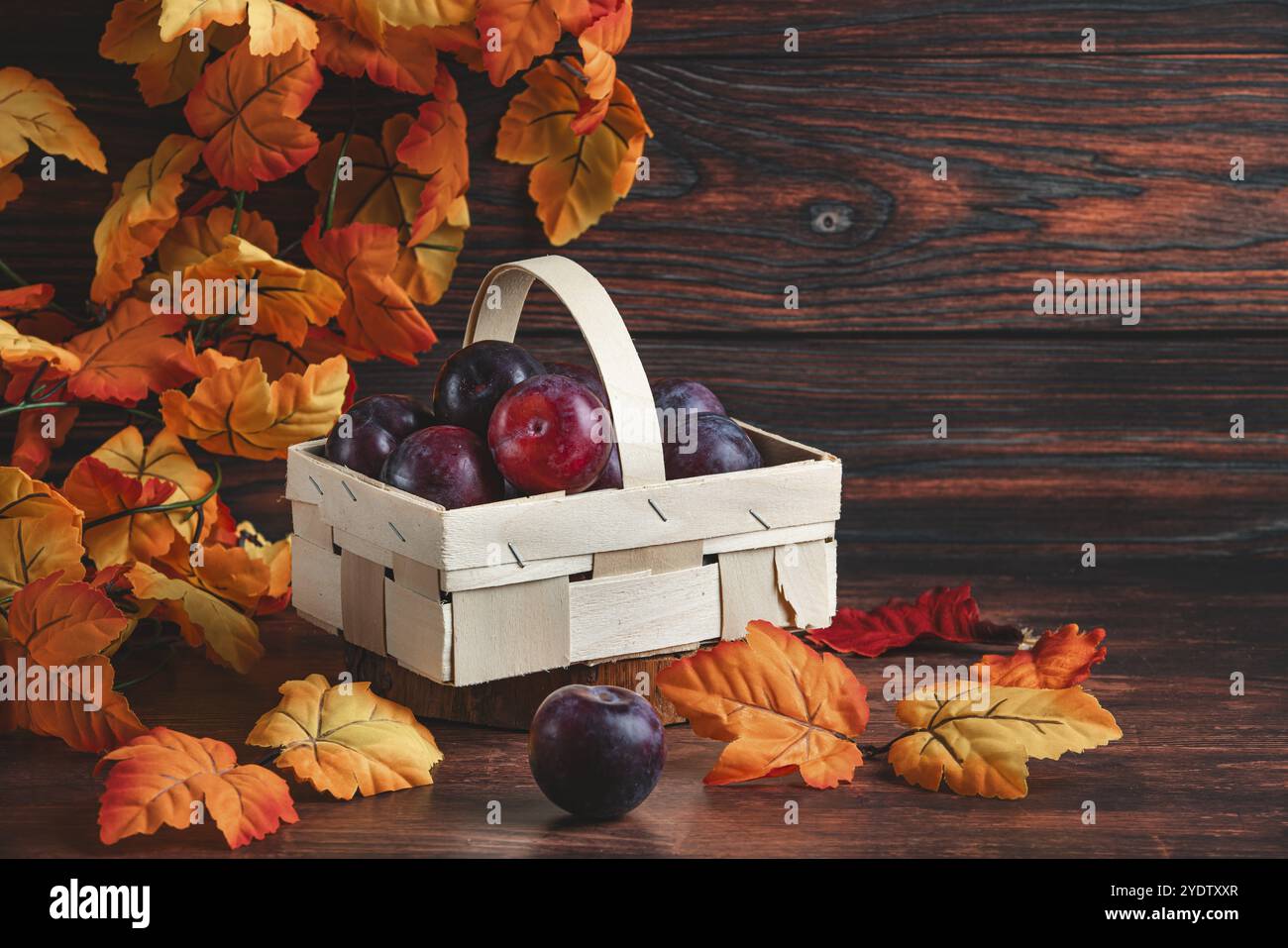 Pflaumen in einem Holzkorb, umgeben von orangefarbenen Herbstblättern Stockfoto