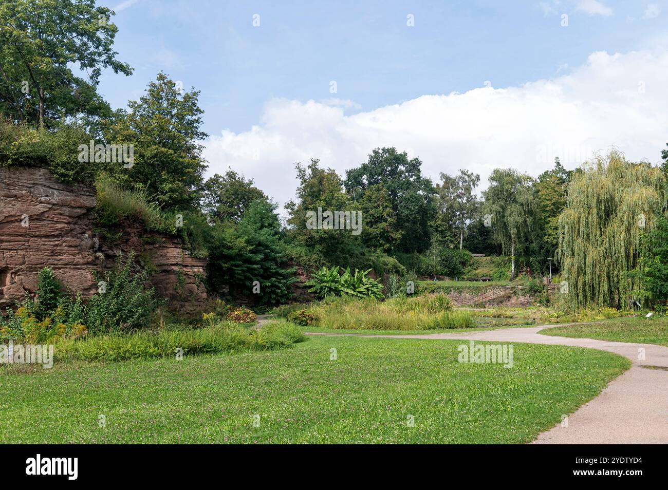 Stuttgart Baden Württemberg Deutschland 13. September 2024 Höhenpark Killesberg, Killesbergpark Rote Klippen und Teich. Gärten, garten, Stadt, Hohenpark, Hufenpark, park, Rote, felsen, Stockfoto