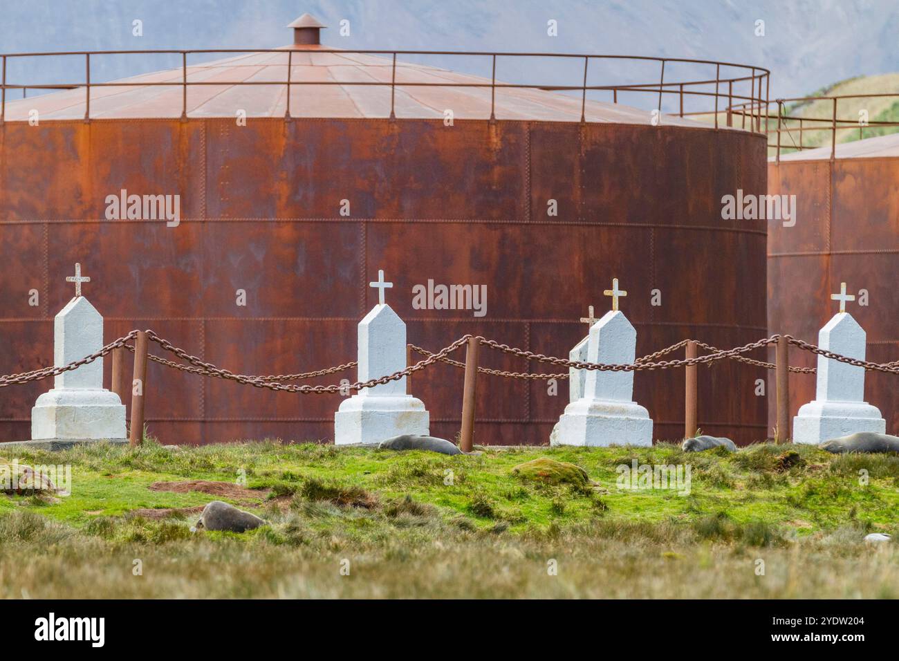 Blick auf den verlassenen Friedhof der Walfangstation in Stromness Bay in Südgeorgien, Südpolarregionen Stockfoto