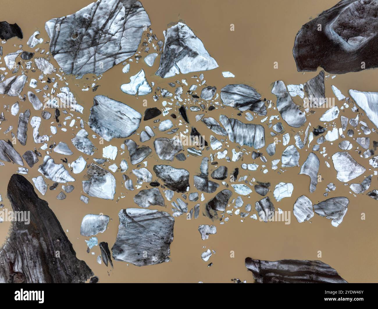 Eine Vogelbeobachtung von Svinafellsjokull Gletscherfragmenten in einer Lagune im Süden Islands, Polarregionen Stockfoto