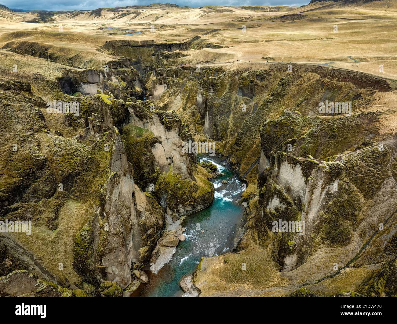 Ein Blick auf den Fjaorargljufur Canyon, Südküste, Island, Polarregionen Stockfoto