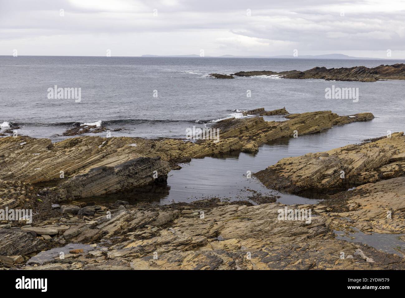 Geneigte devonische Sandsteinschichten, geschützte Bucht von Skiba Geo, Northside, Festland Orkney, Schottland, Großbritannien Stockfoto