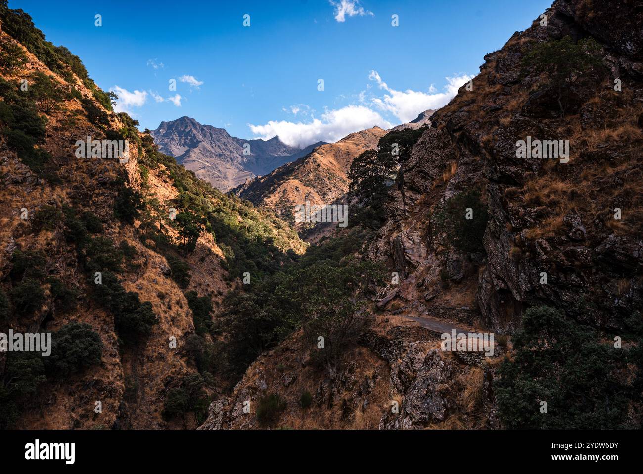 Wanderweg entlang des zerklüfteten trockenen Bergtals der Sierra Nevada, mit Alcazaba in der Ferne, Andalusien, Spanien, Europa Stockfoto