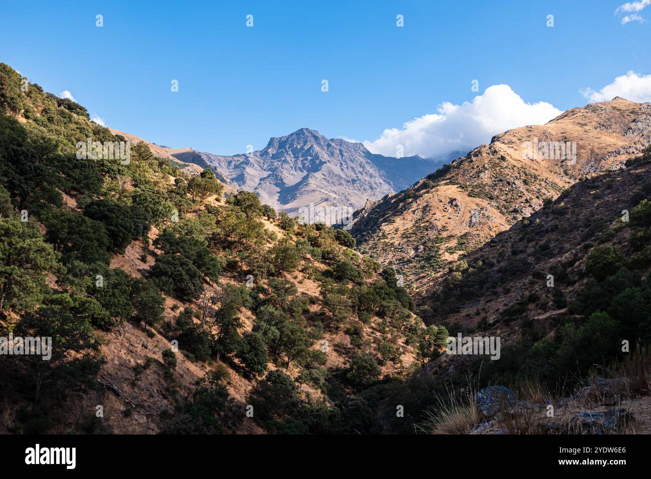 Wanderweg entlang des zerklüfteten trockenen Bergtals der Sierra Nevada, mit Alcazaba in der Ferne, Andalusien, Spanien, Europa Stockfoto