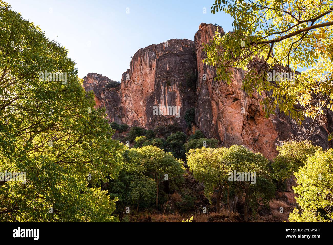 Üppige Bäume und rote Felsklippen in Los Cahorros Monachil, Sierra Nevada, Granada, Andalusien, Spanien, Europa Stockfoto