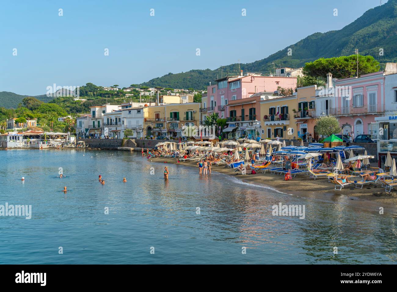 Blick auf Strand und Stadt Lacco Ameno, Insel Ischia, Kampanien, Italien, Europa Stockfoto
