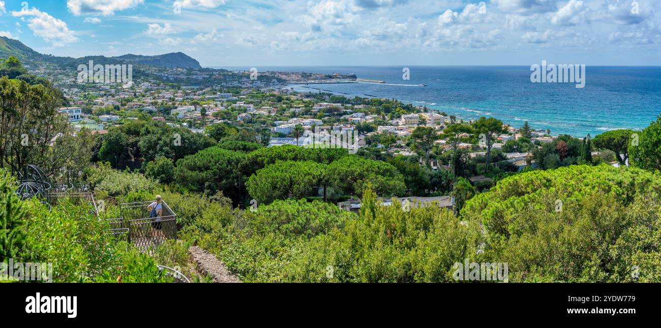 Blick auf die tropische Flora in den botanischen Gärten Giardini la Mortella und Forio im Hintergrund, Forio, Insel Ischia, Kampanien, Italien, Europa Stockfoto