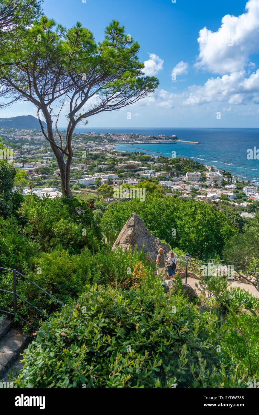Blick auf die tropische Flora in den botanischen Gärten Giardini la Mortella und Forio im Hintergrund, Forio, Insel Ischia, Kampanien, Italien, Europa Stockfoto