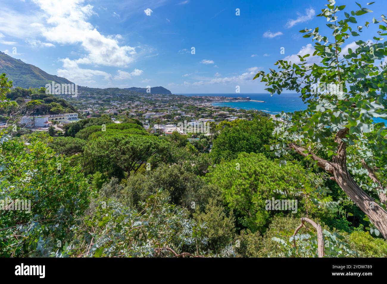 Blick auf die tropische Flora in den botanischen Gärten Giardini la Mortella und Forio im Hintergrund, Forio, Insel Ischia, Kampanien, Italien, Europa Stockfoto