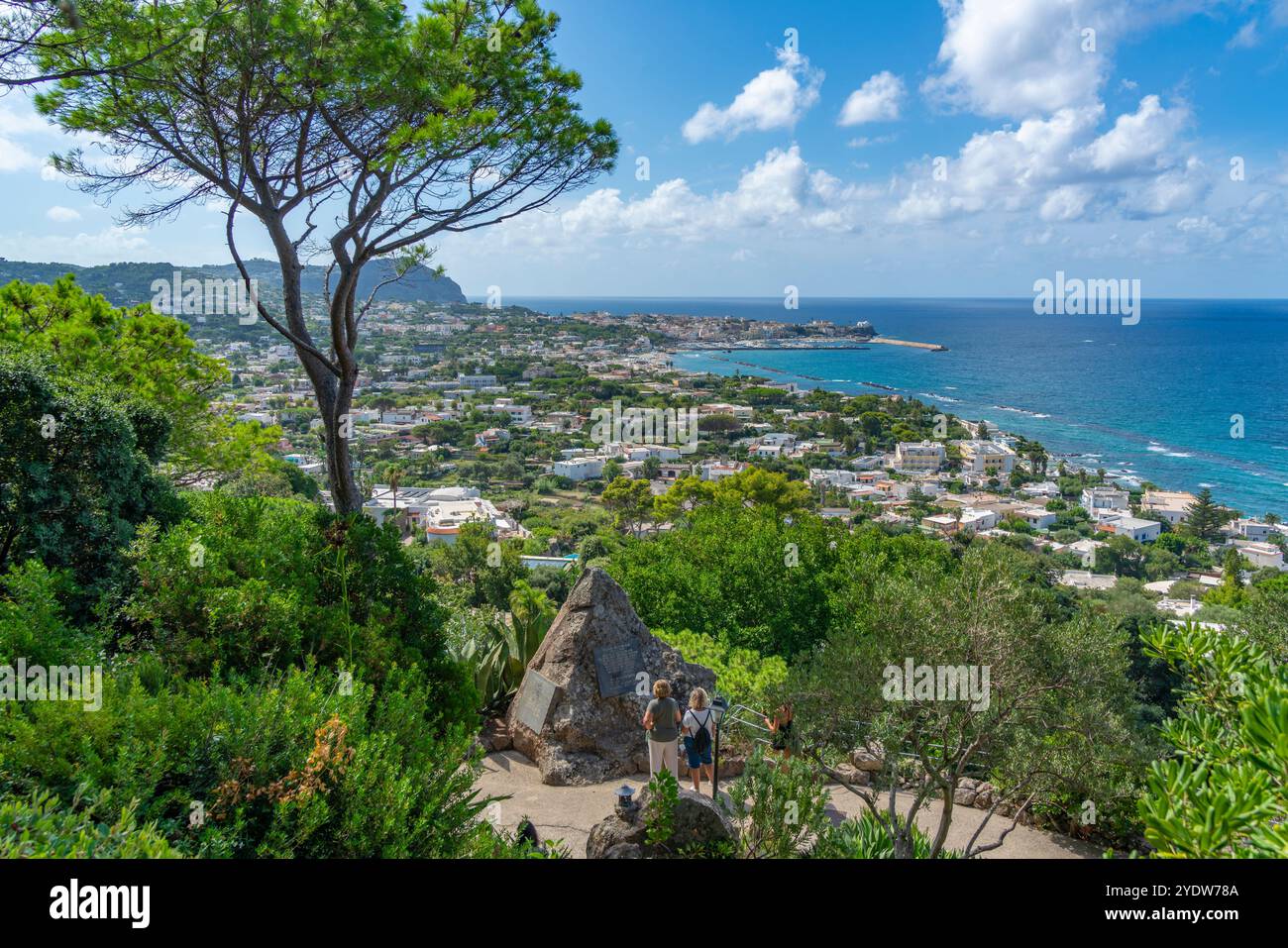 Blick auf die tropische Flora in den botanischen Gärten Giardini la Mortella und Forio im Hintergrund, Forio, Insel Ischia, Kampanien, Italien, Europa Stockfoto