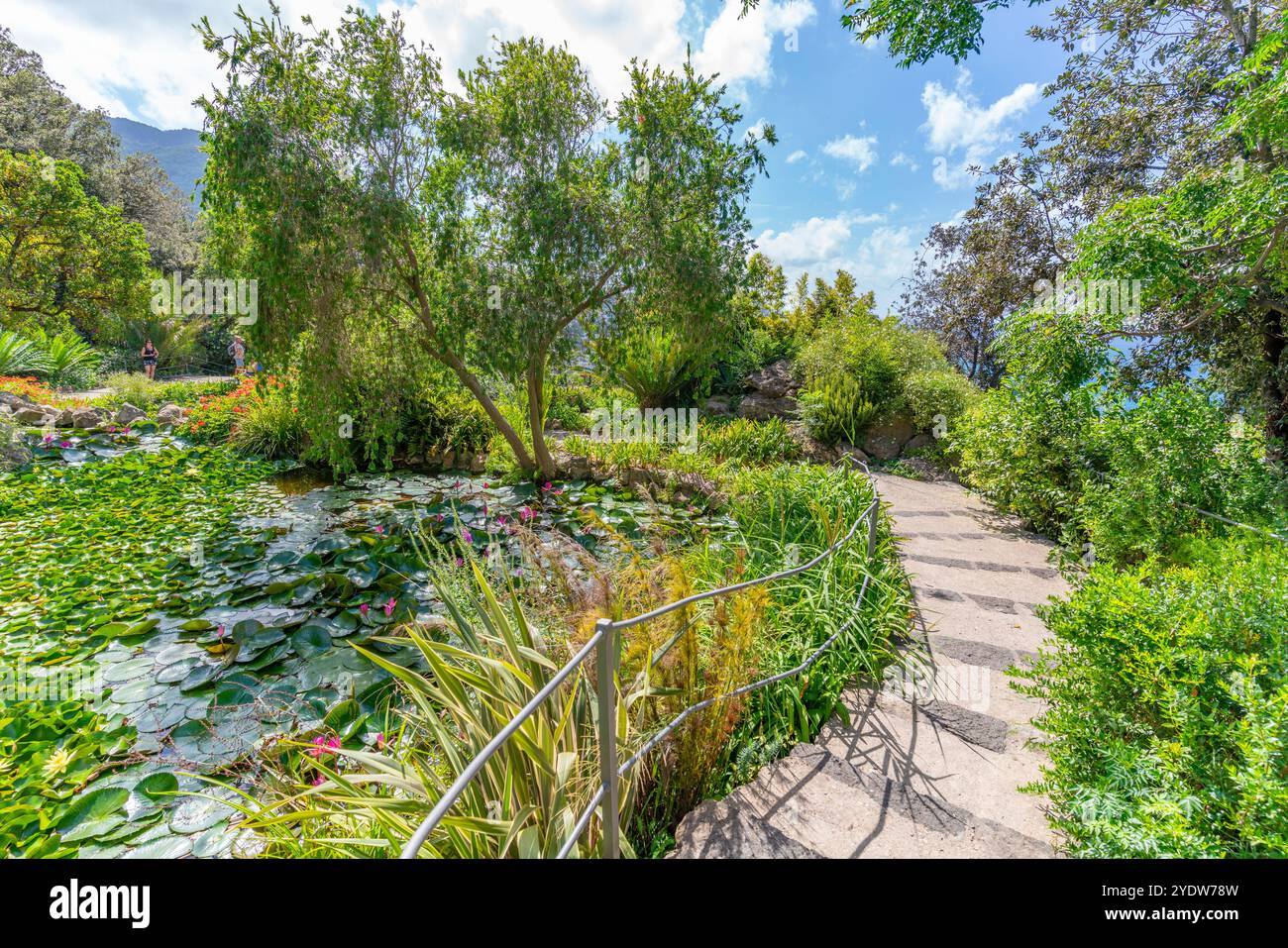 Blick auf die tropische Flora in den botanischen Gärten Giardini la Mortella, Forio, Insel Ischia, Kampanien, Italien, Europa Stockfoto