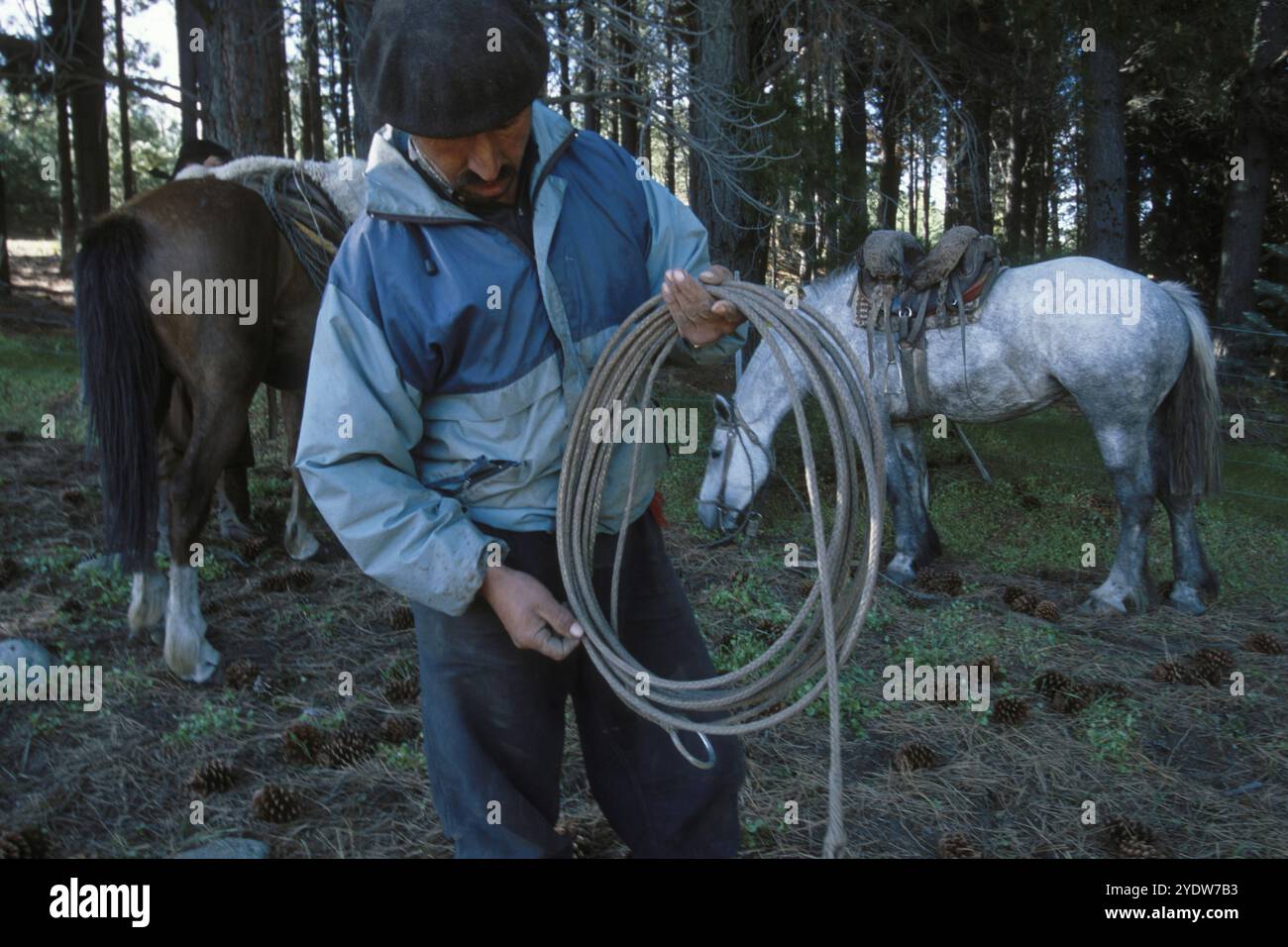 Gauchos in Patagonien, Argentinien Stockfoto