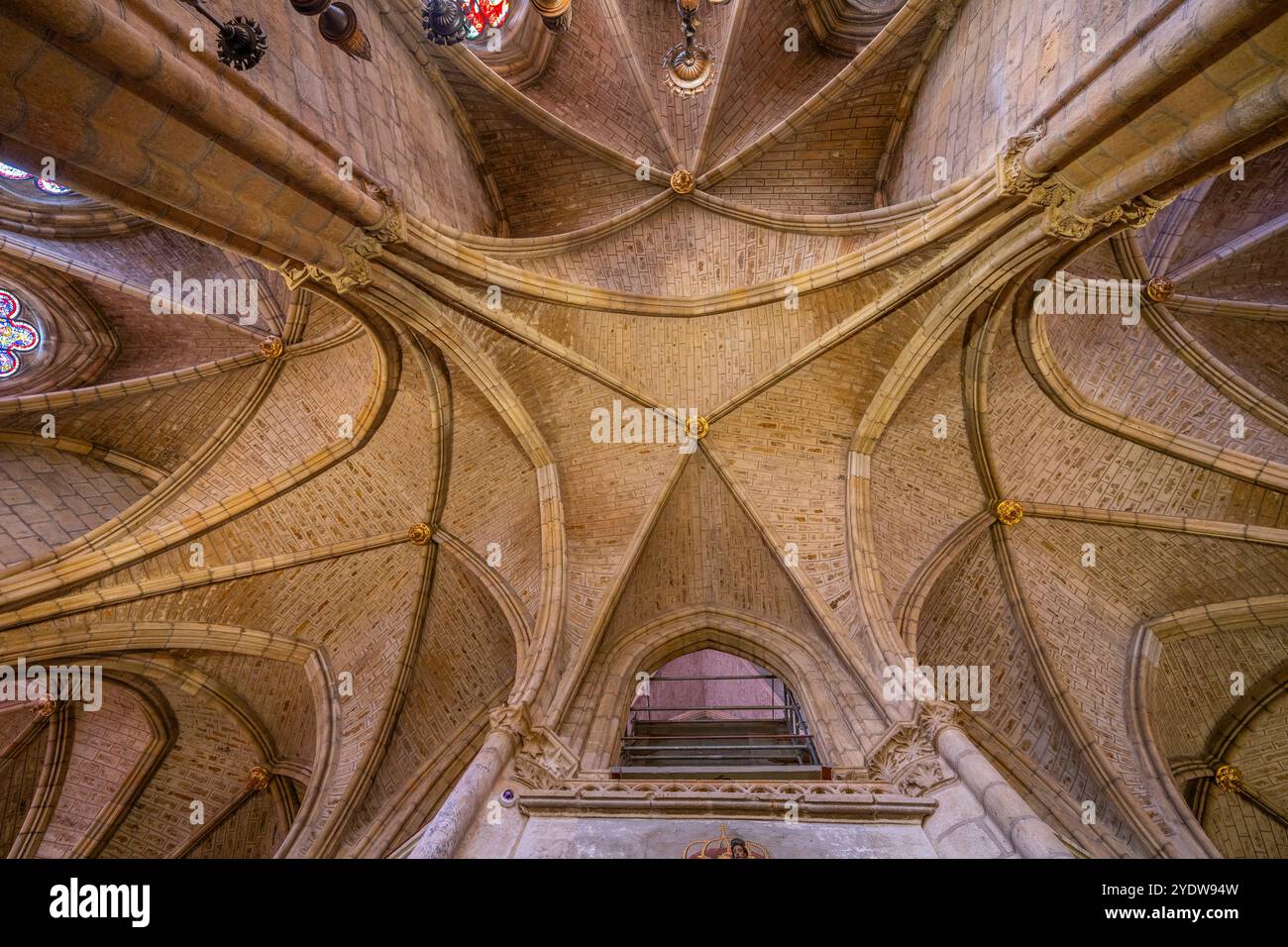 Santa MarAdz?a de Leon Cathedral, Leon, Kastilien und Leon, Spanien, Europa Stockfoto