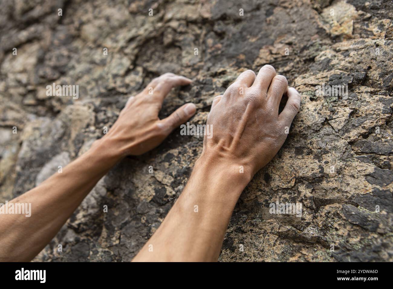 Eine Detailansicht der straff und muskulös männliche arme Skalierung von einem steilen Felsen. Der Mensch versucht, Klettern. Abenteuer und Erfolg während der Freizeitgestaltung Stockfoto