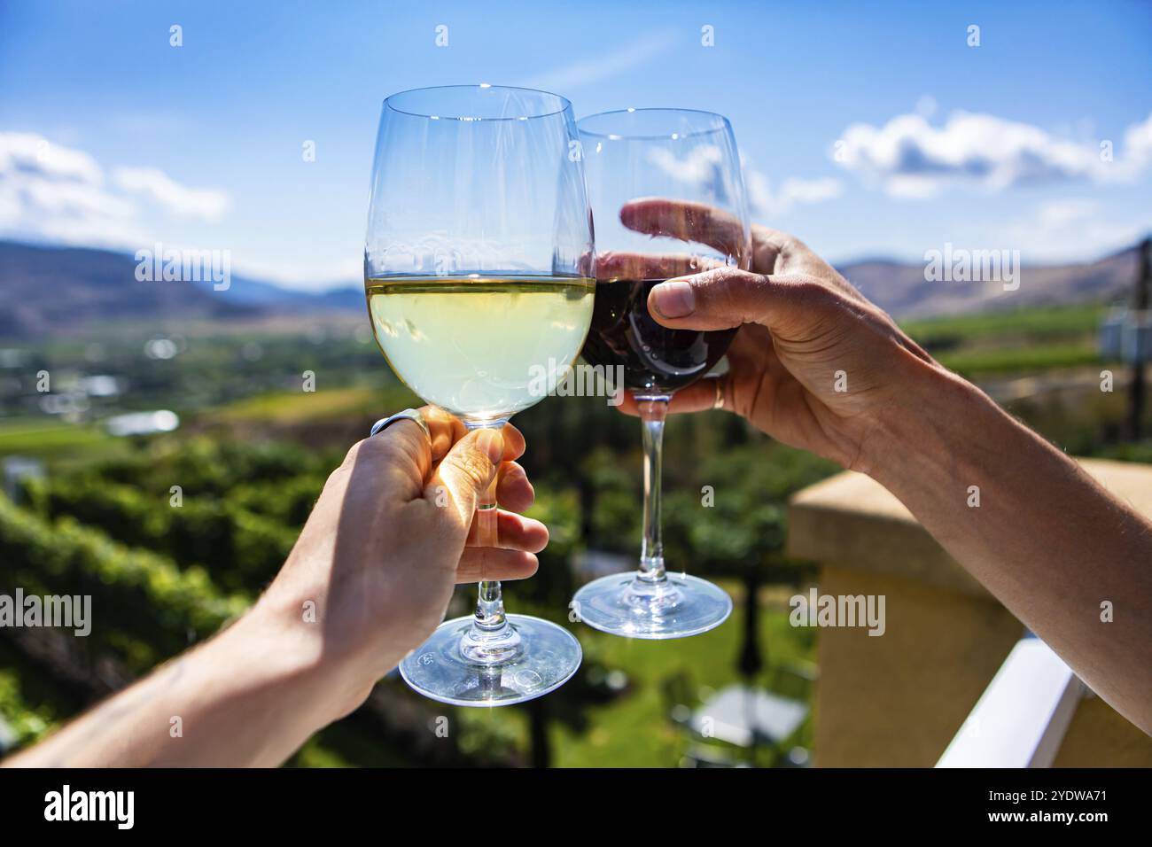 Fröhliche Hände, die Rot- und Weißweingläser von einer Terrasse des Weinguts vor der grünen Weinlandschaft im Okanagan Valley BC Canada anfeuern Stockfoto