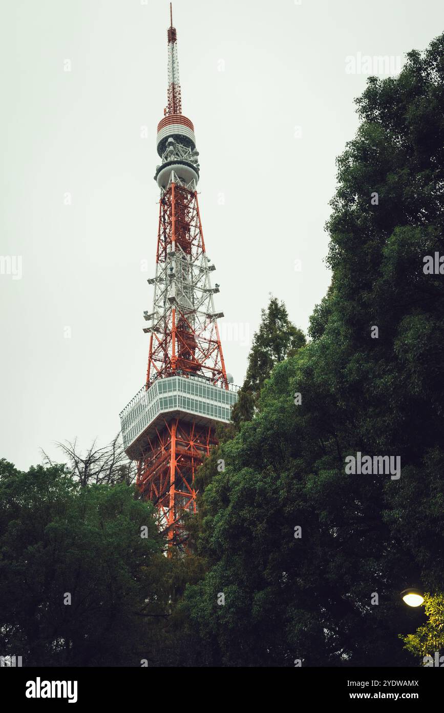 Urbanes Leben im Herzen von Tokio Stockfoto