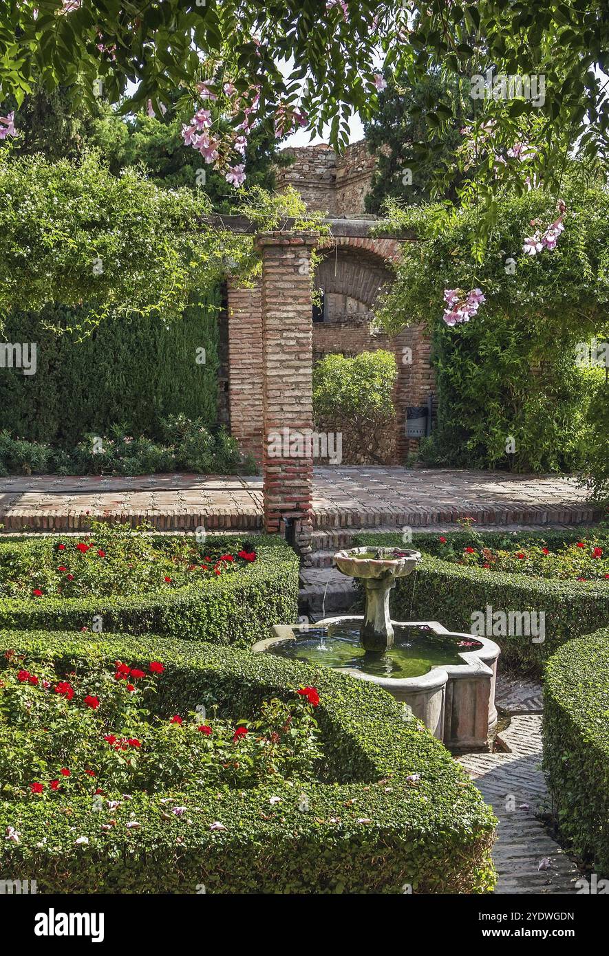 Die Alcazaba ist eine palastartige Festung in Malaga, Spanien. Innengarten Stockfoto