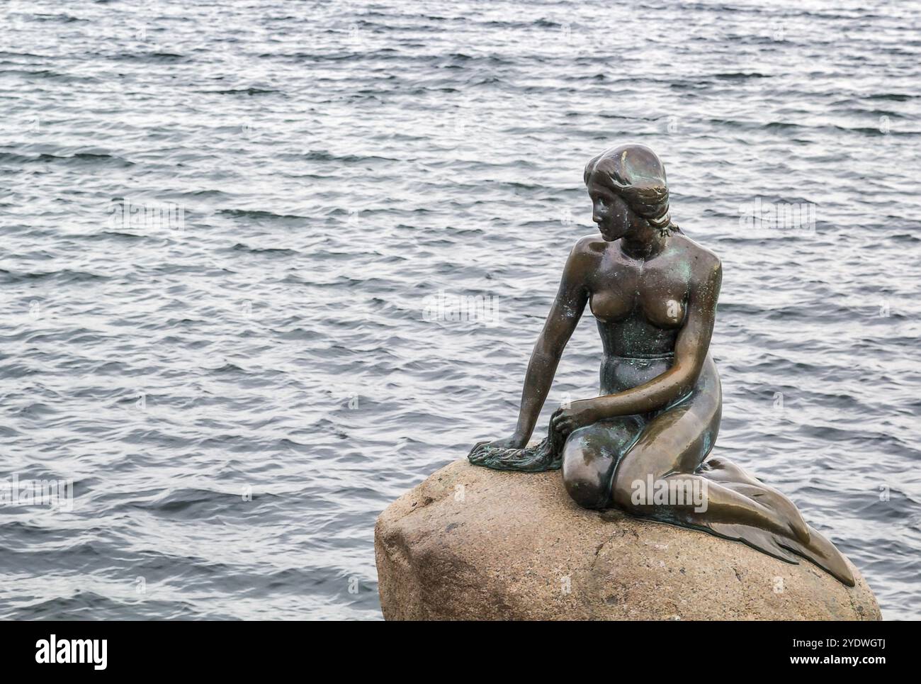 Die kleine Meerjungfrau ist eine Bronzestatue von Edvard Eriksen, die eine Meerjungfrau darstellt. Die Skulptur ist auf einem Felsen am Ufer der Langelinie ausgestellt Stockfoto