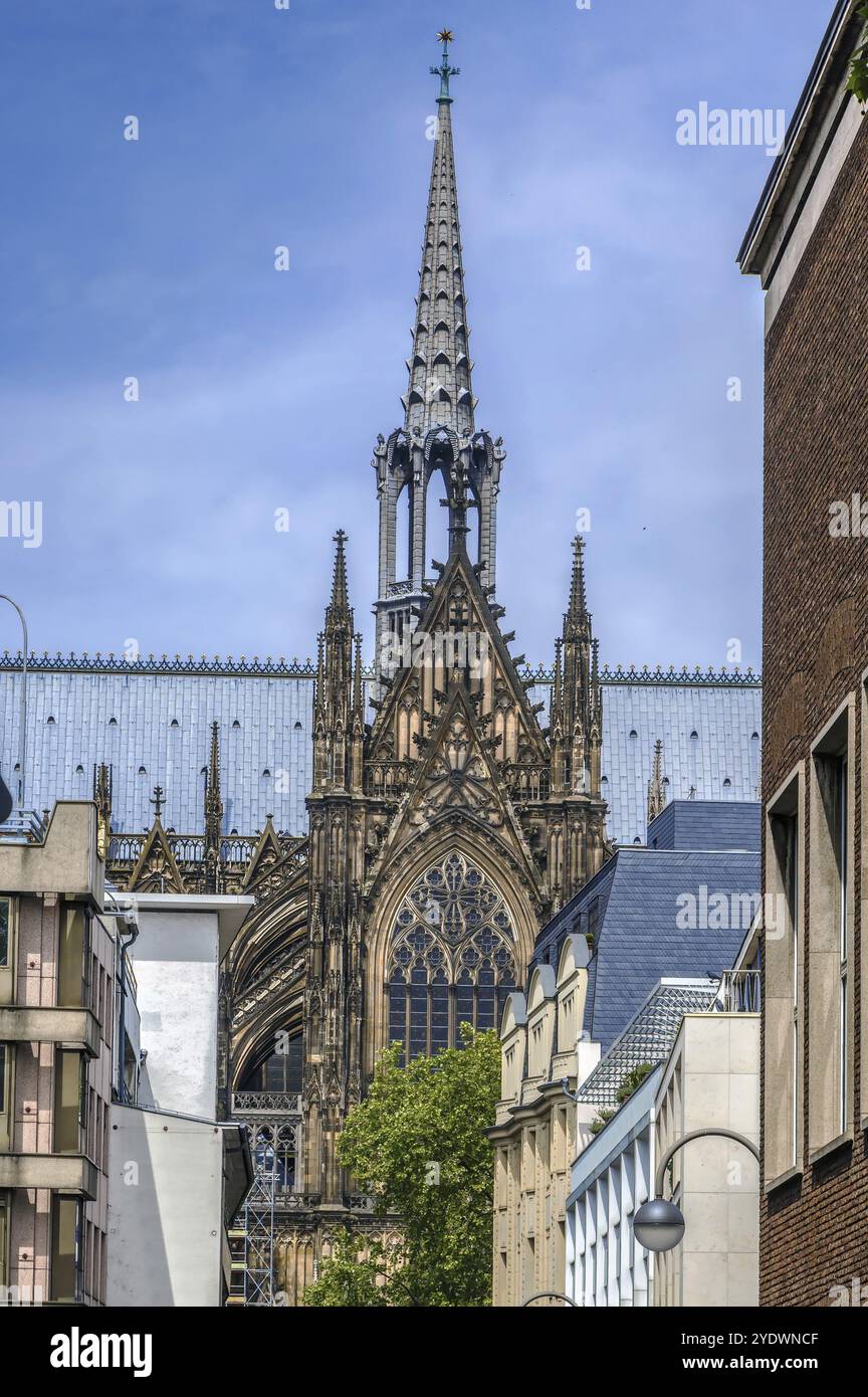 Der Kölner Dom ist ein römisch-katholischer Dom in Köln. Blick aus dem Süden Stockfoto