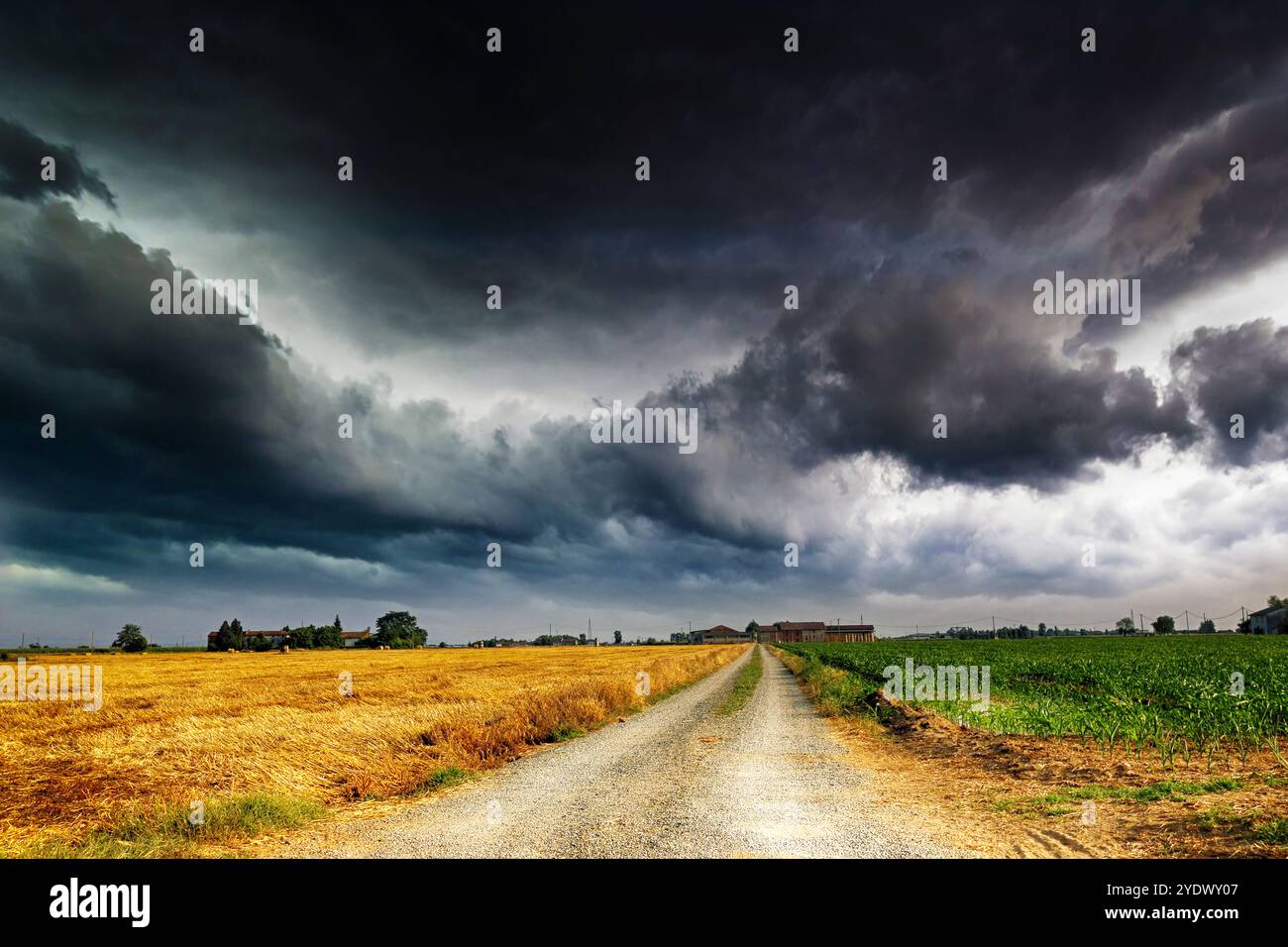 Gerade Straße durch ländliche Landschaft, San Giuliano Nuovo, Alessandria, Piemont, Italien Stockfoto