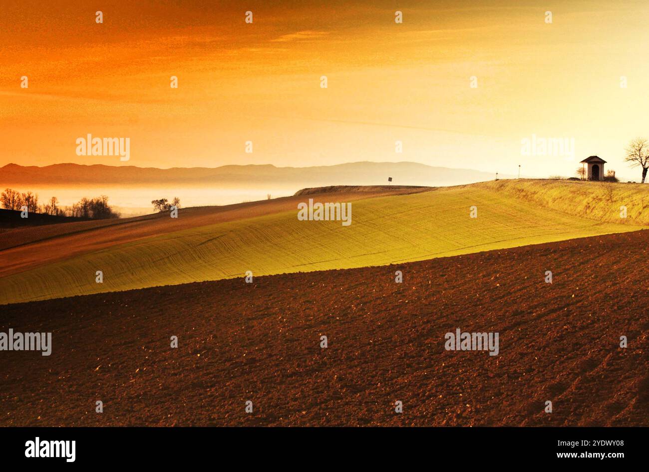 Sonnenuntergang über landwirtschaftlichen Feldern, Monferrato, Cuccaro, Alessandria, Piemont, Italien Stockfoto