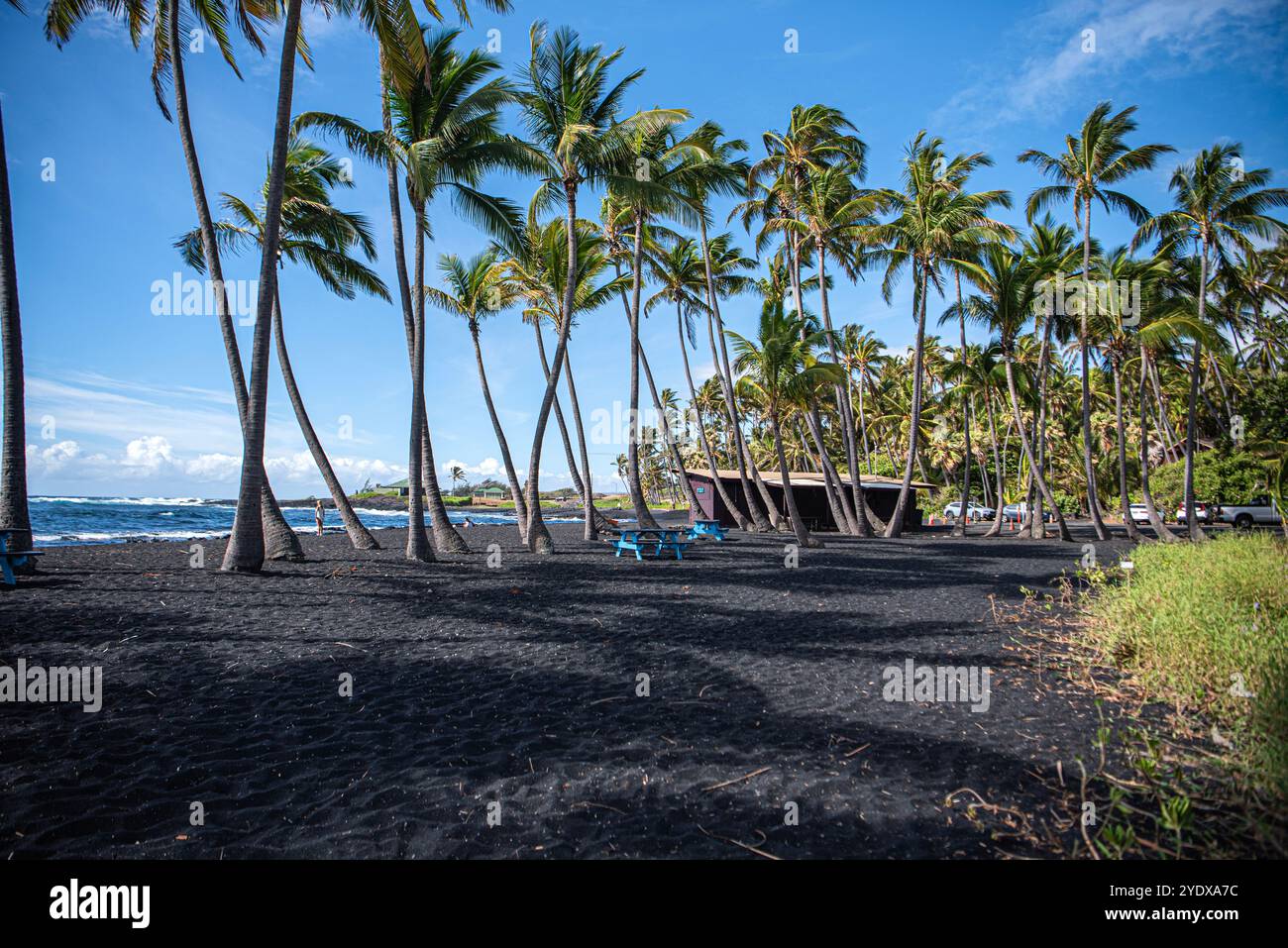 Von hinten betrachtet bilden die Palmen einen dramatischen Kontrast zu den tiefen Sandtönen und unterstreichen die einzigartige Schönheit des Strandes. Stockfoto