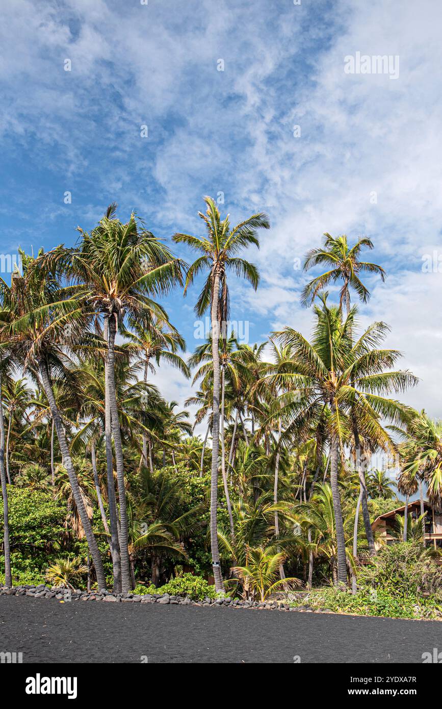 Diese Szene weckt ein Gefühl der Ruhe und des Paradieses und lädt die Zuschauer ein, das Naturwunder der hawaiianischen Küste und die ruhige Atmosphäre zu genießen Stockfoto