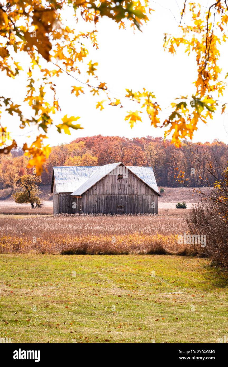 Verwitterte Holzscheune im Herbst Stockfoto