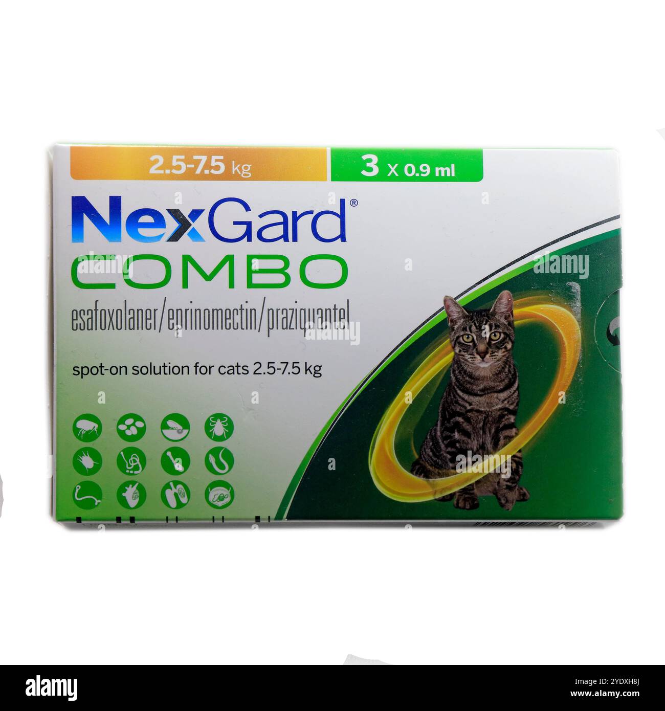 NexGard Lösung zum Auftropfen für Katzen. Studio-Einrichtung. Weißer Hintergrund. Stockfoto